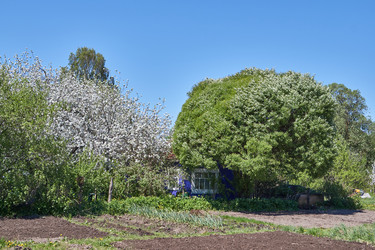 Similar image 21715404