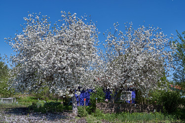 Similar image 21715405