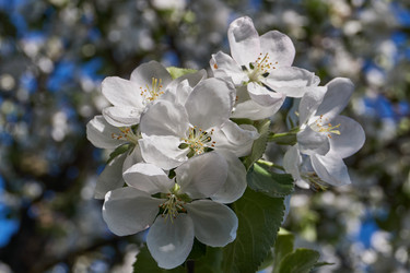 Similar image 21715406