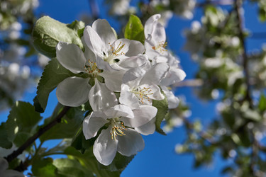 Similar image 21715407