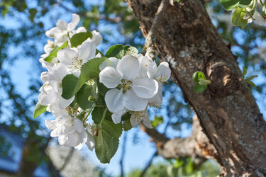 Similar image 21715408