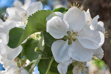 Similar image 21715410