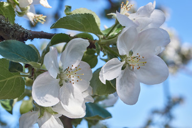 Similar image 21715411