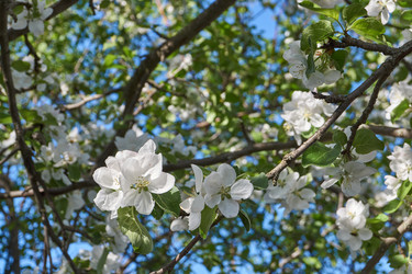 Similar image 21715412