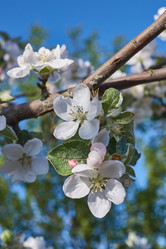 Similar image 21715413