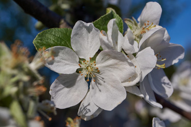 Similar image 21715414