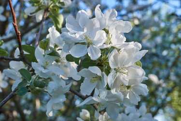 Similar image 21715508