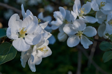 Similar image 21715509