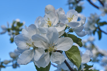 Similar image 21715510