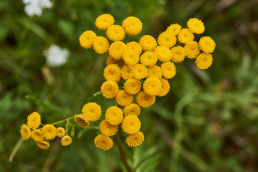 Similar image 21715511