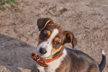 Similar image 21715512