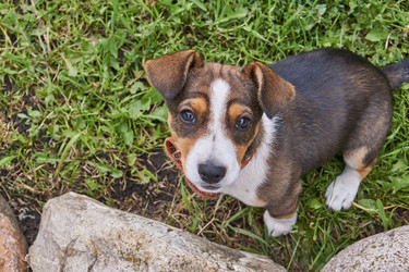 Similar image 21715513