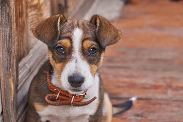 Similar image 21715514