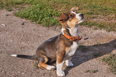 Similar image 21715515