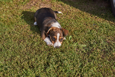 Similar image 21715518