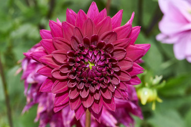 Similar image 21715520