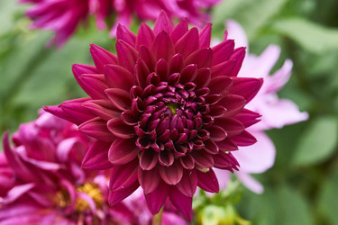 Similar image 21715521