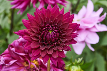 Similar image 21715522