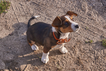 Similar image 21715524