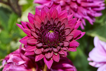 Similar image 21715525