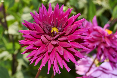 Similar image 21715527