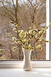 Similar image 21715219