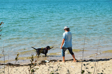 Similar image 21715845