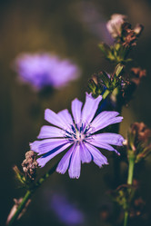 Similar image 21715744