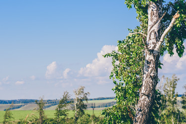 Similar image 21715755