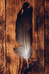 Similar image 21715768