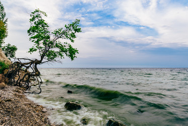 Similar image 21715615