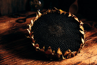 Similar image 21715628