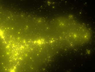 Similar image 21718665