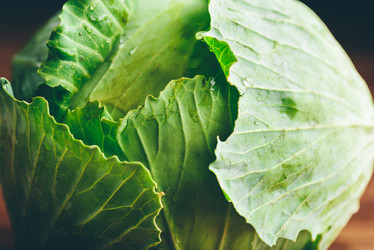 Similar image 21715716