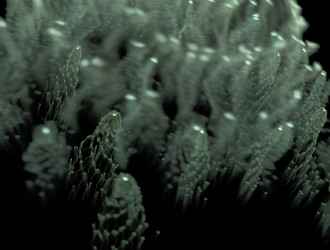 Similar image 21718987