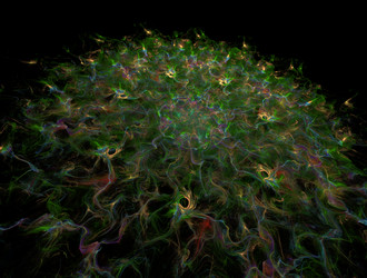 Similar image 21718988