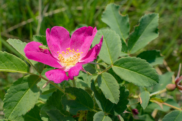 Similar image 21715847