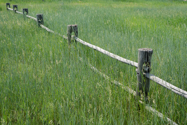 Similar image 21715849