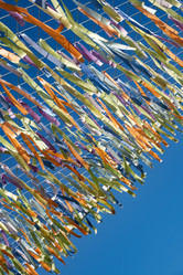 Similar image 21716758