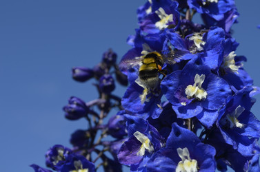 Similar image 21715852