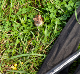 Similar image 21715868