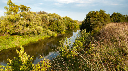 Similar image 21715869