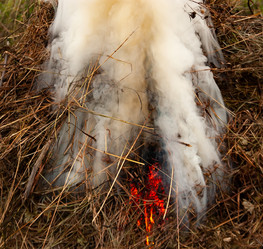 Similar image 21715870