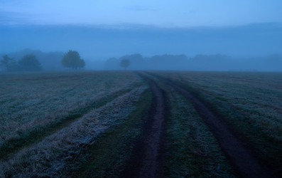 Similar image 21715871