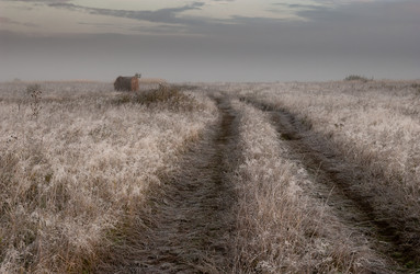 Similar image 21715873