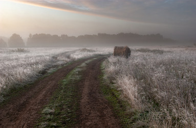 Similar image 21715874