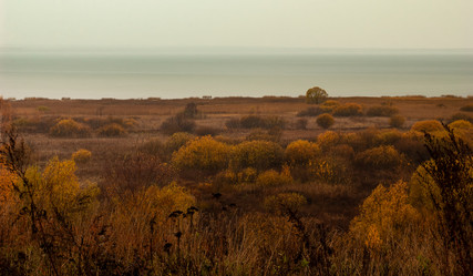 Similar image 21715539