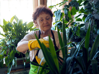 Similar image 21715415