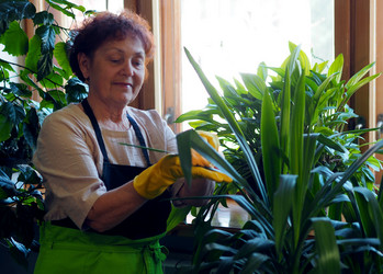 Similar image 21715417