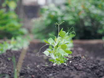 Similar image 21715422